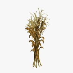 a bundle of corn stalk