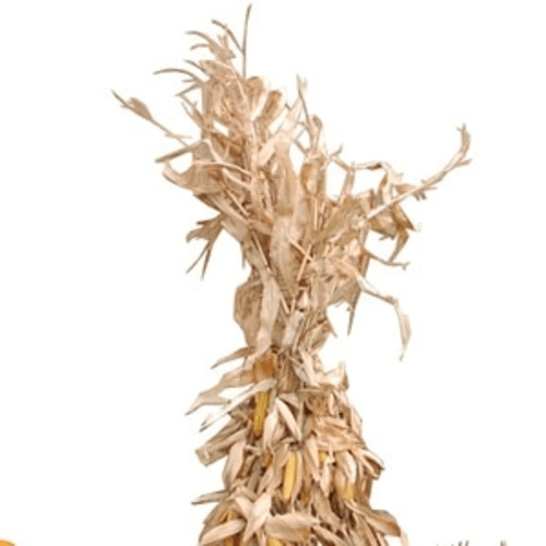 Corn Stalk Bundle PNG - 137996