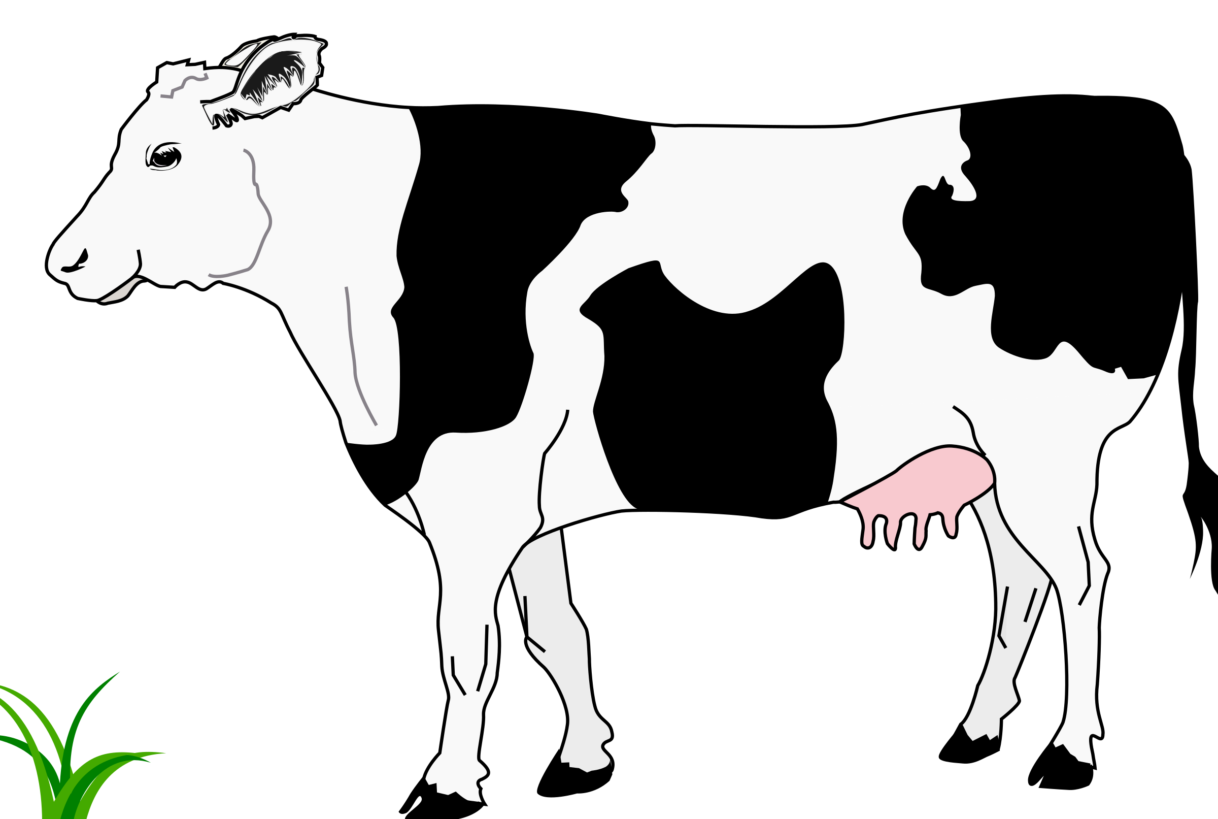 Cow Head PNG HD - 140182