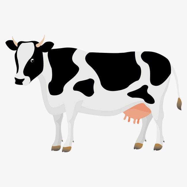 Cow Head PNG HD - 140183