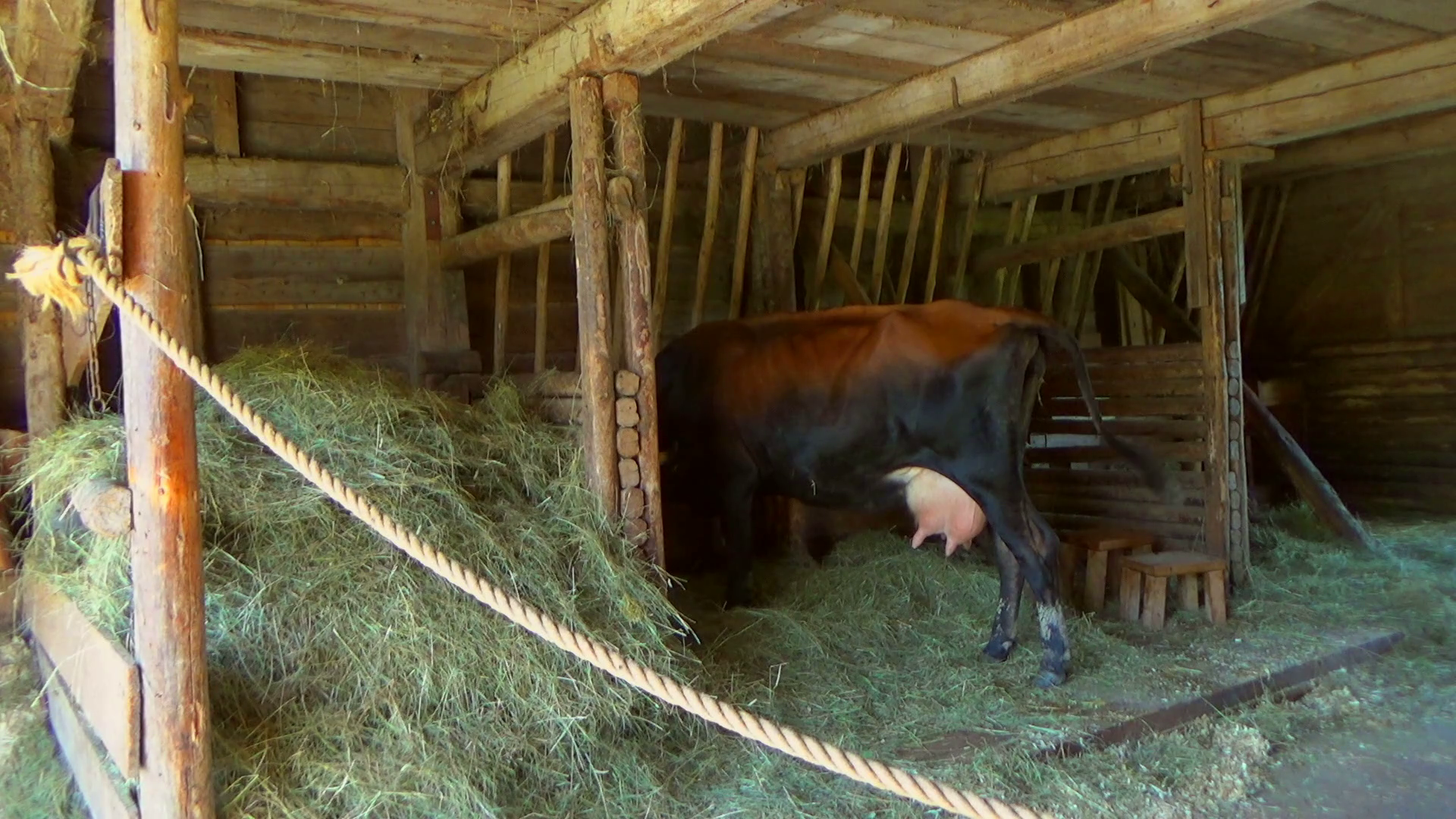 Cow In Shed PNG - 170666