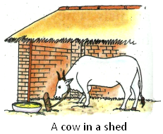 Cow In Shed PNG - 170650