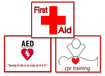 Cpr Training PNG - 133574