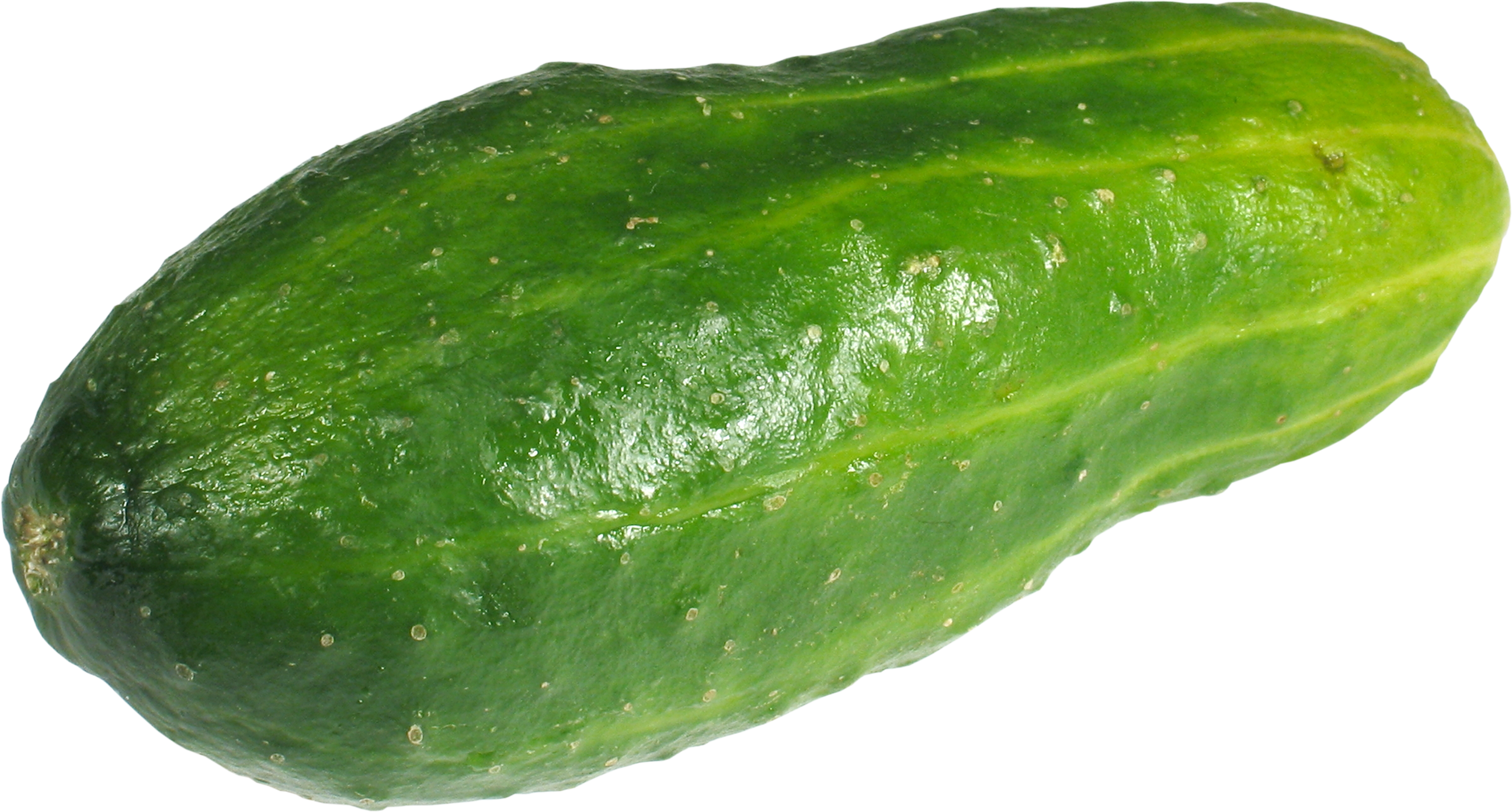 Cucumber PNG - 18778
