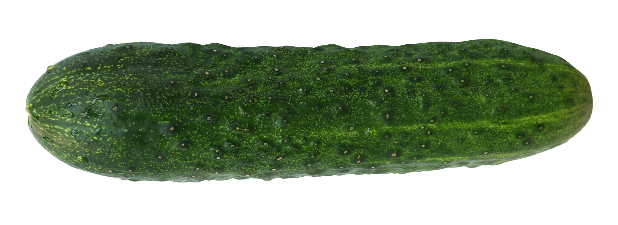 Cucumber PNG - 18776