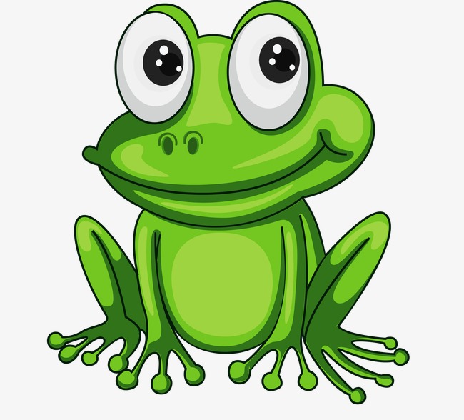 Cute Baby Frog PNG - 146056