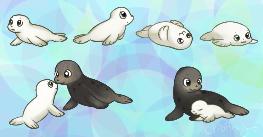 Cute Baby Seal PNG - 162374