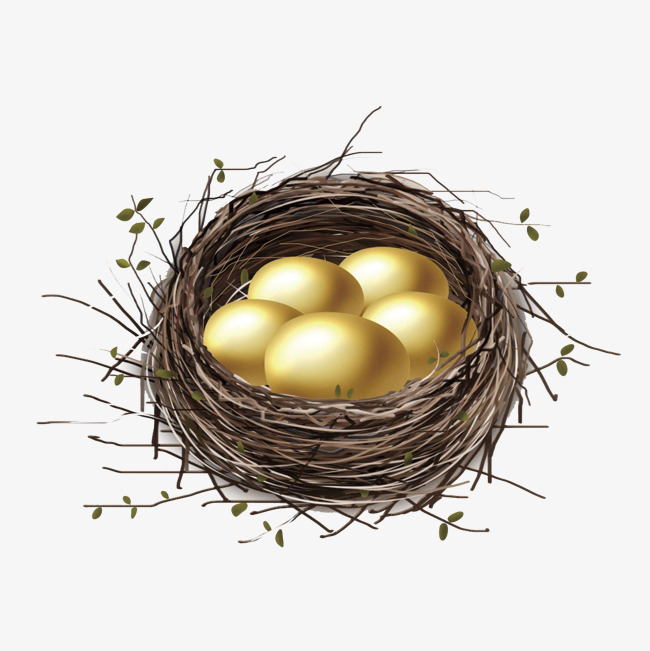 Collection of Cute Bird Nest PNG. | PlusPNG