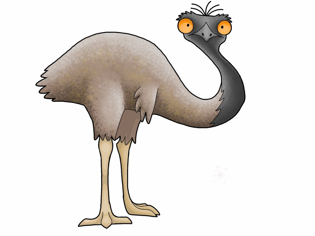 Cute Emu PNG - 63749