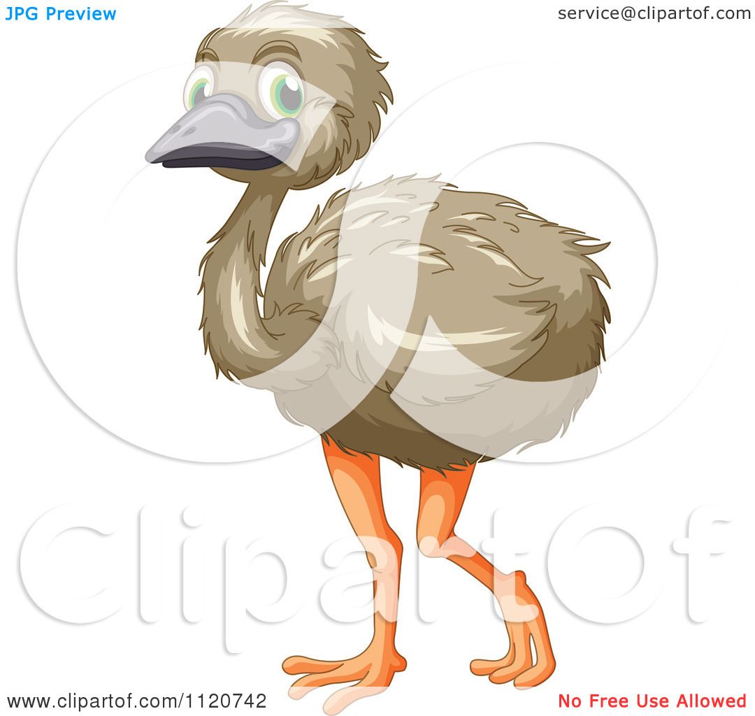 Cute Emu PNG - 63751