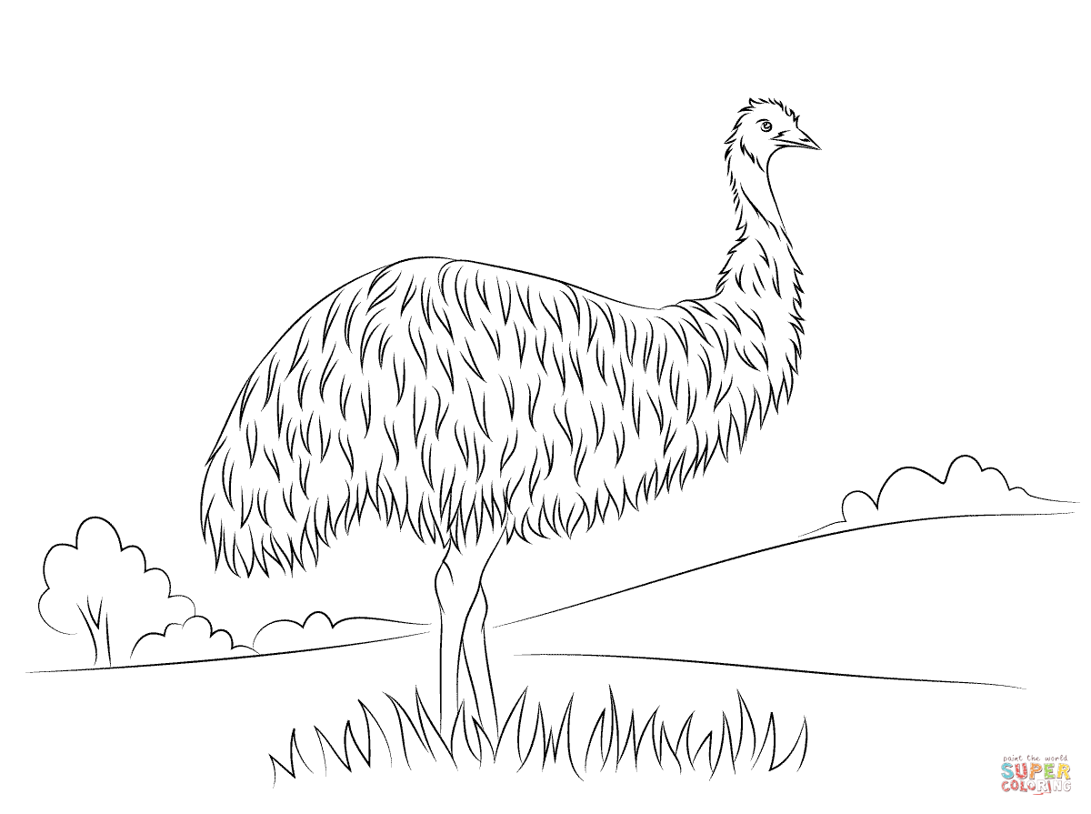 Cartoon Of A Cute Emu 3 - Roy