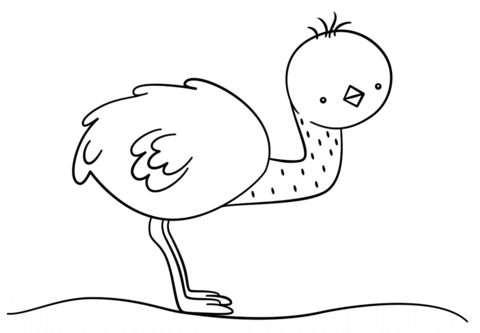 Vector cartoon cute emu. Emu 