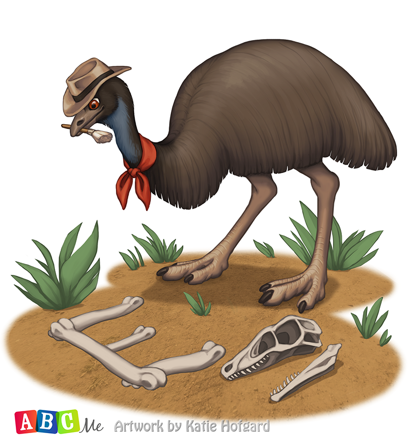 Cute Emu PNG - 63752
