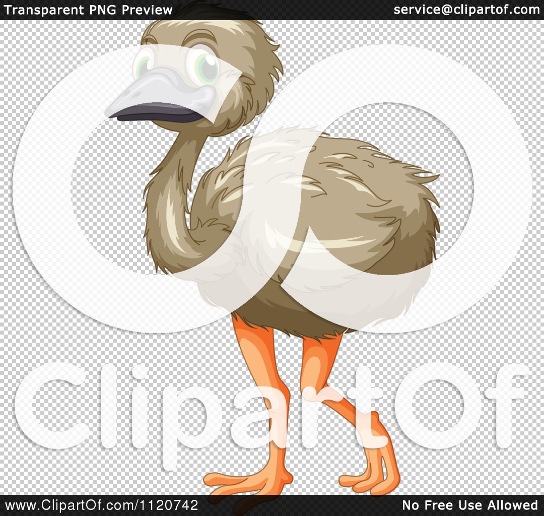 Cute Emu PNG - 63759