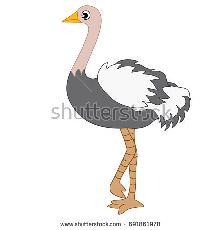 Cute Emu PNG - 63758