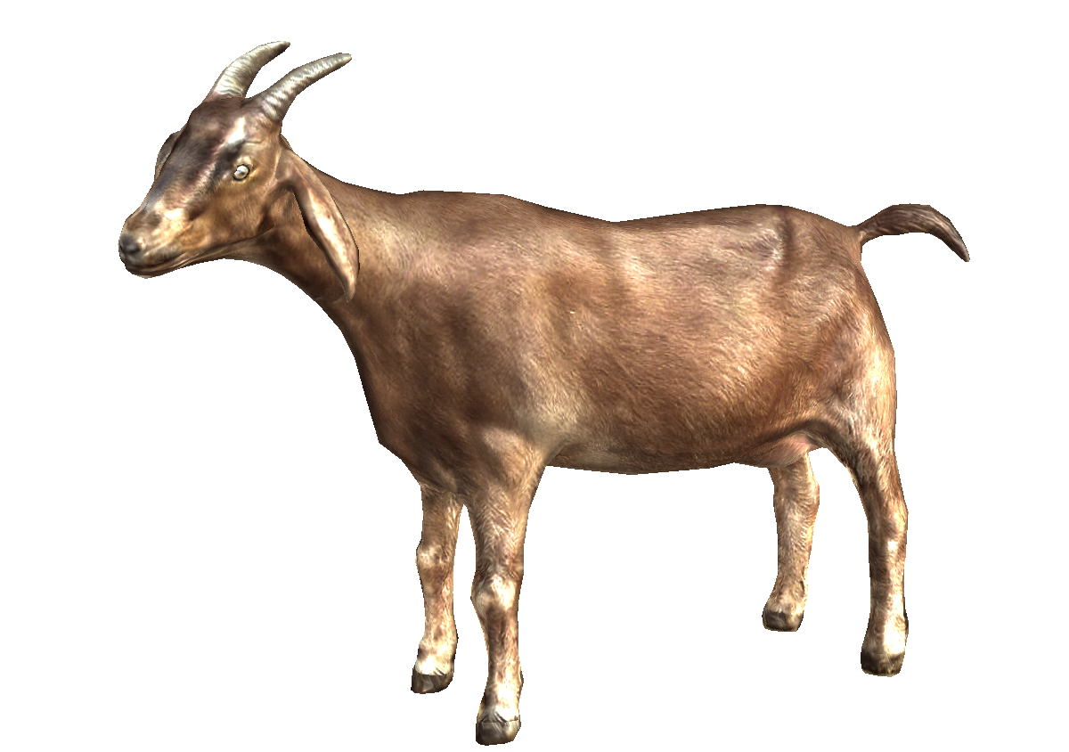 Cute Goat PNG HD - 127851