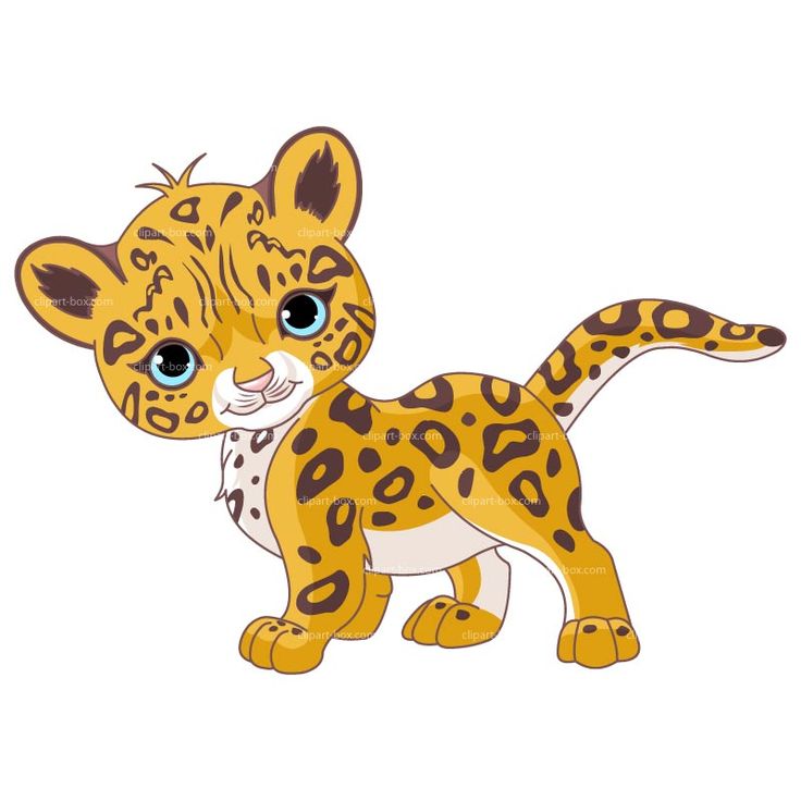 leopard head grin cute cartoo