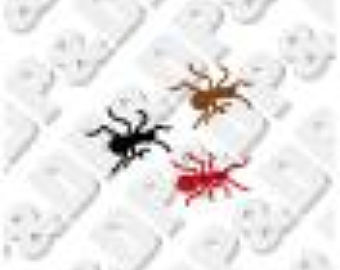 Cute Marching Ants PNG - 154873