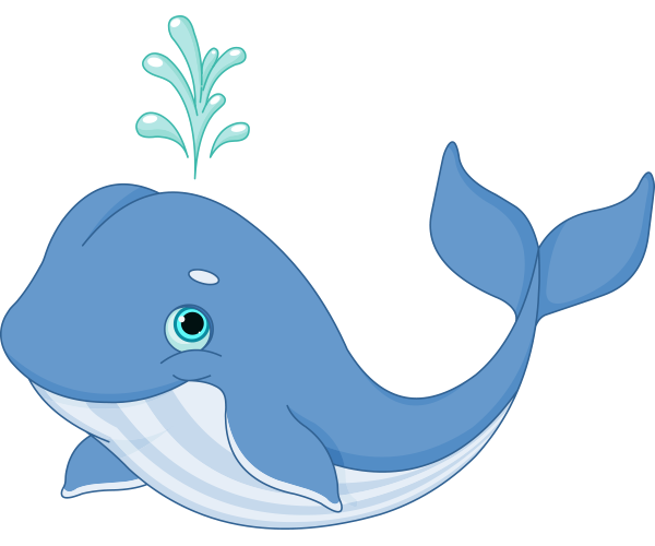 Cute Pictures Of Whales PNG - 164103