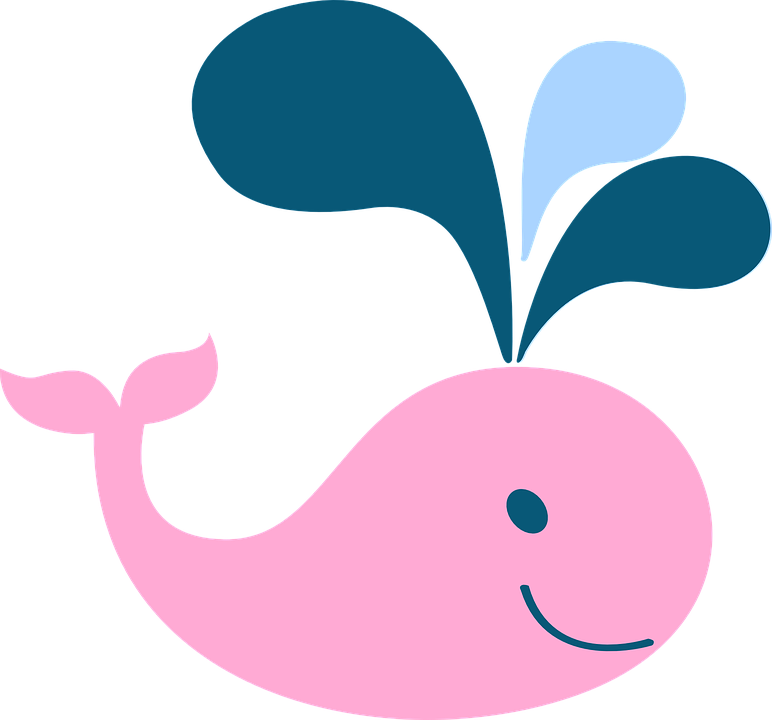 Cute Pictures Of Whales PNG - 164091