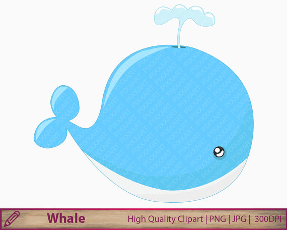 Cute Pictures Of Whales PNG - 164106