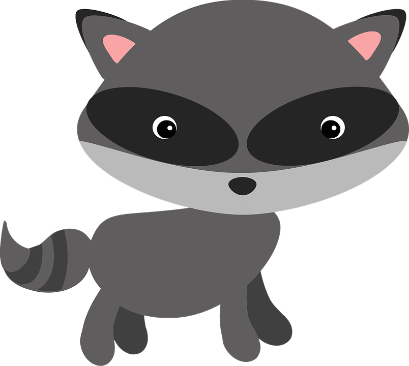 Raccoon free to use clipart