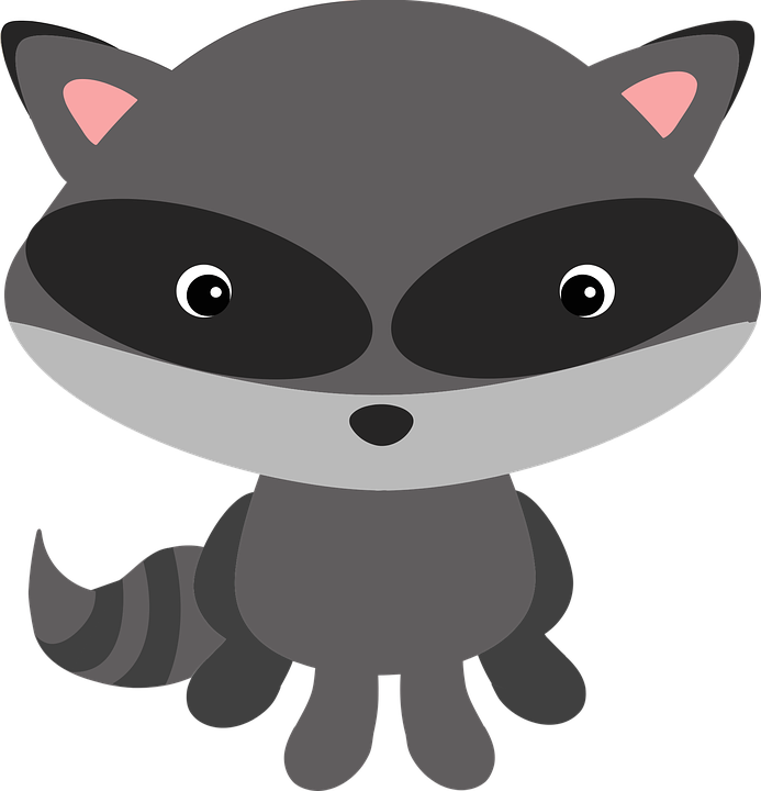 Cute Raccoon PNG HD - 127544