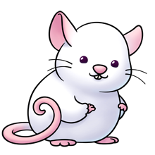 A cute rat