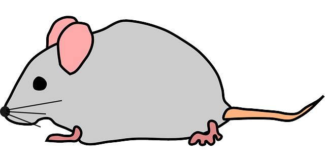 Cute Rat PNG - 75508