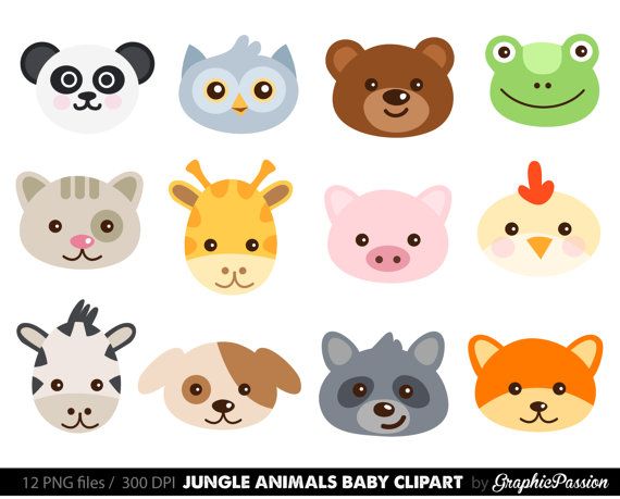 Cute Zoo Animals PNG - 168148