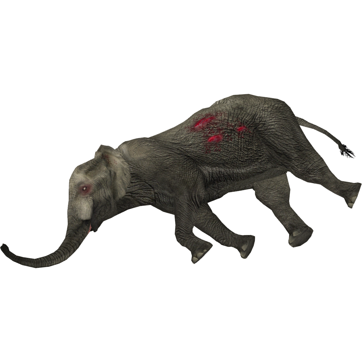 Dead Animal PNG - 170568