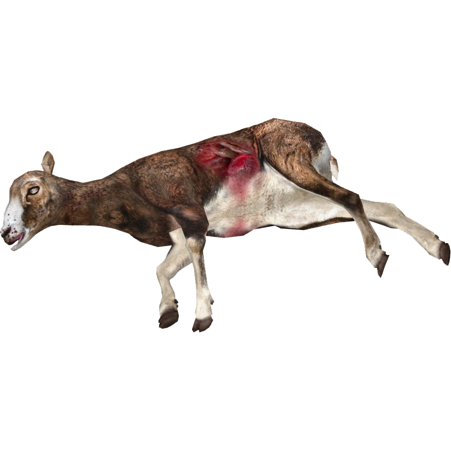 Dead Animal PNG - 170571