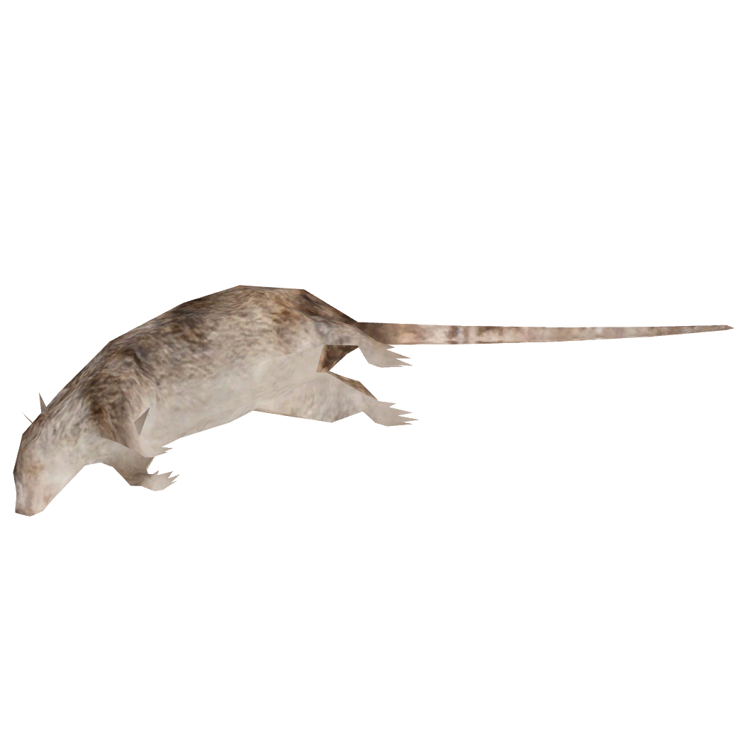 Dead Animal PNG - 170576