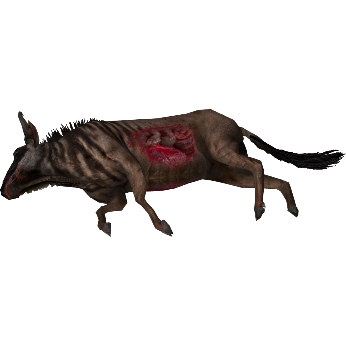 Dead Animal PNG - 170566