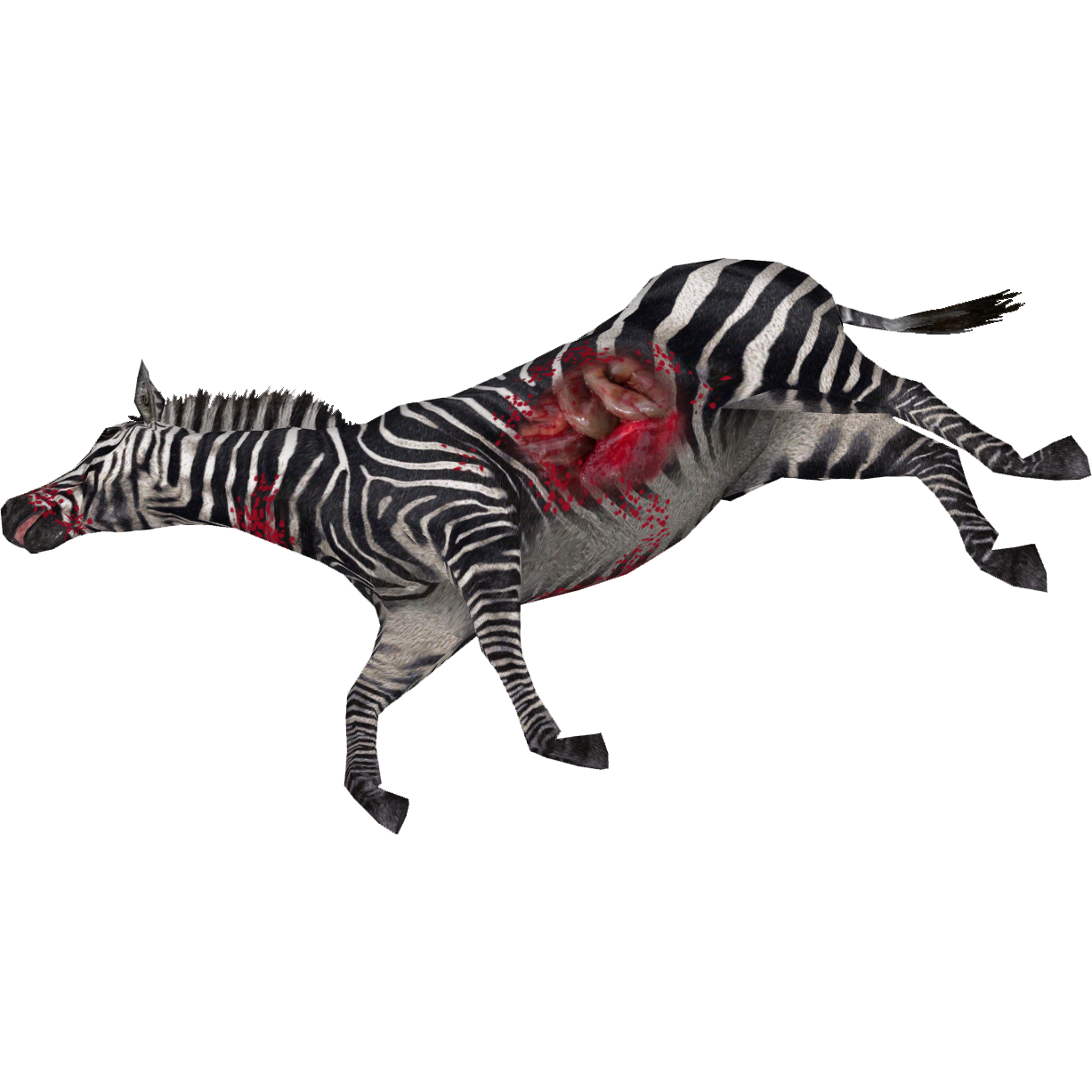 Dead Animal PNG - 170565