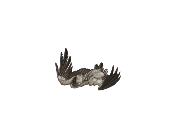 Dead Animal PNG - 170580