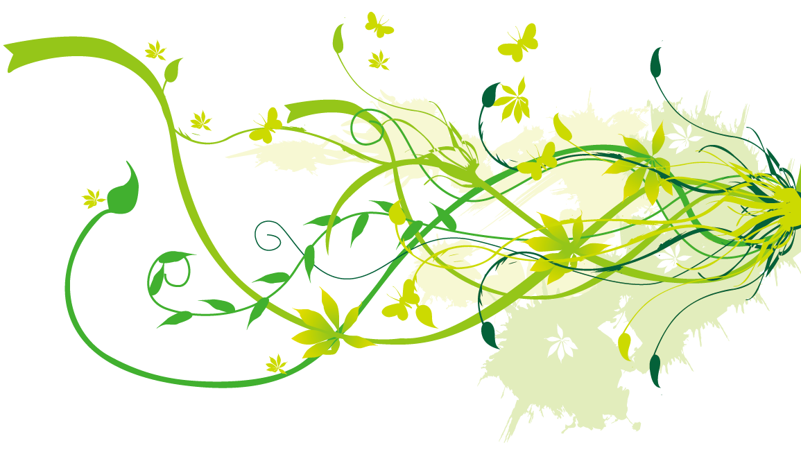 Floral Design PNG HD Photo Do