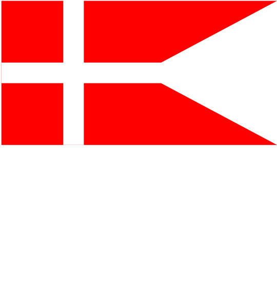 Det Danske Flag PNG - 134143