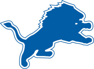 Detroit Lions Logo PNG - 32529