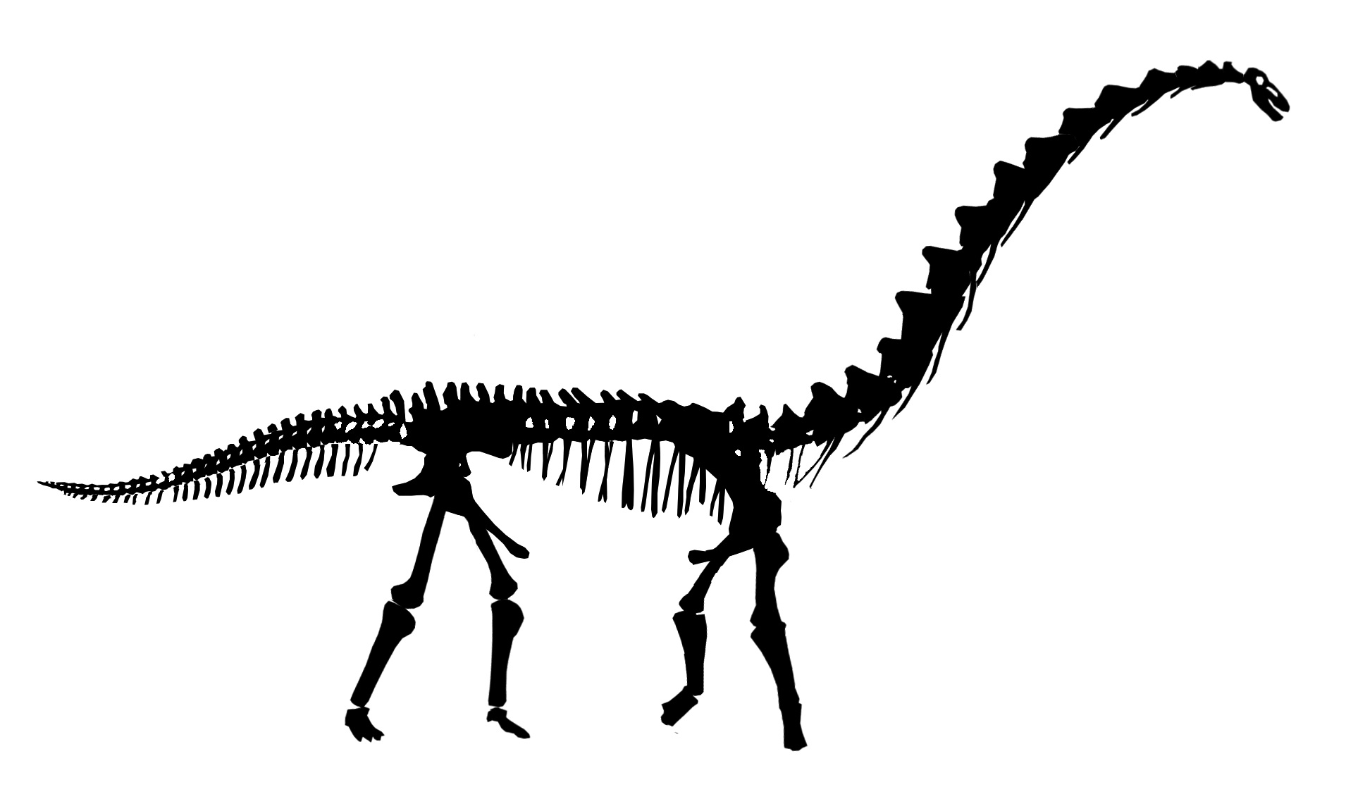 Dinosaur Bones PNG HD - 123601