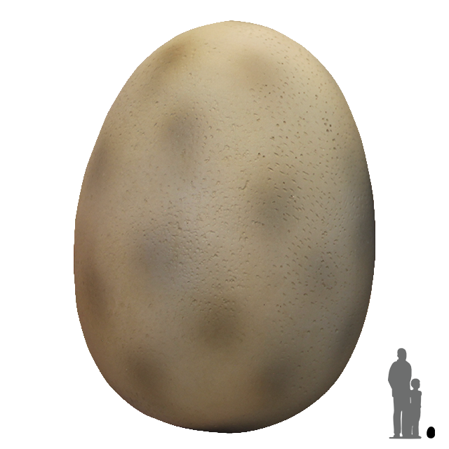 Small Dinosaur Egg
