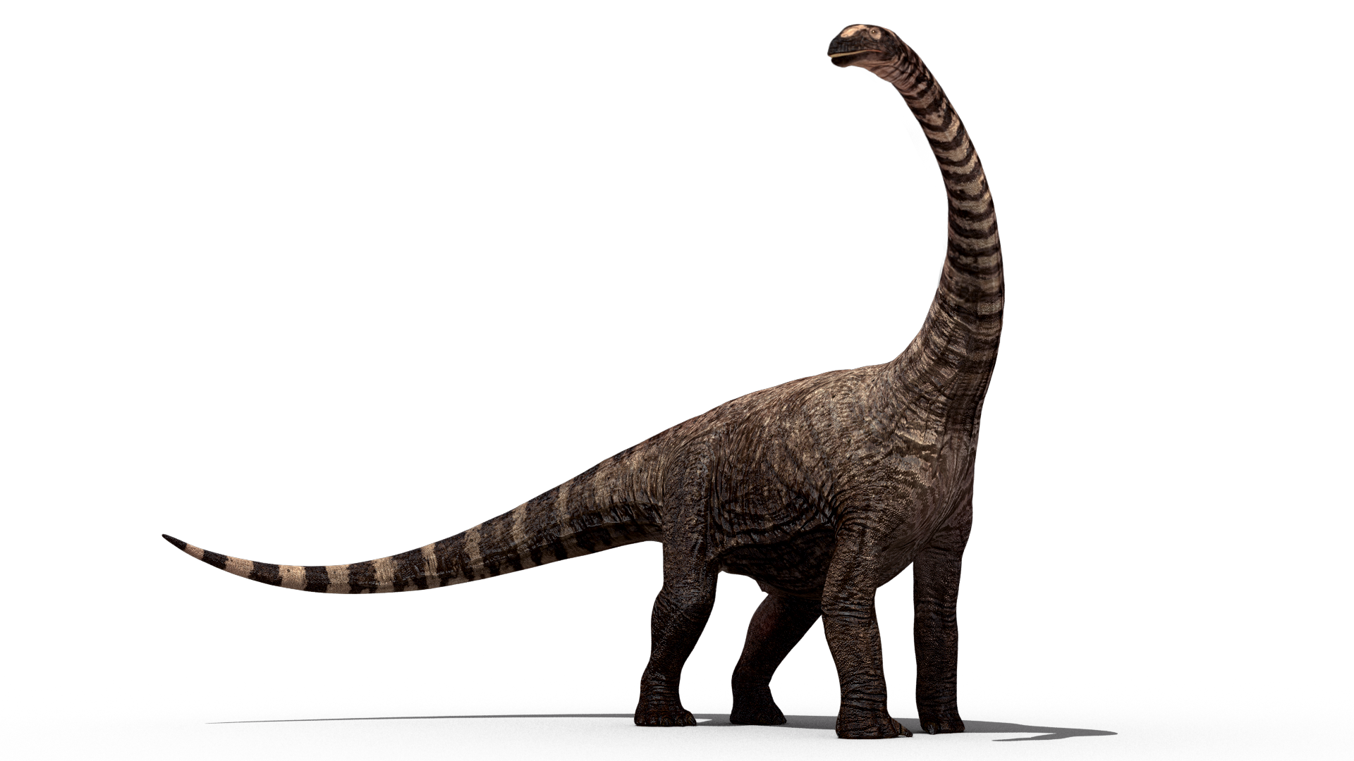 Dinosaur PNG - 6913