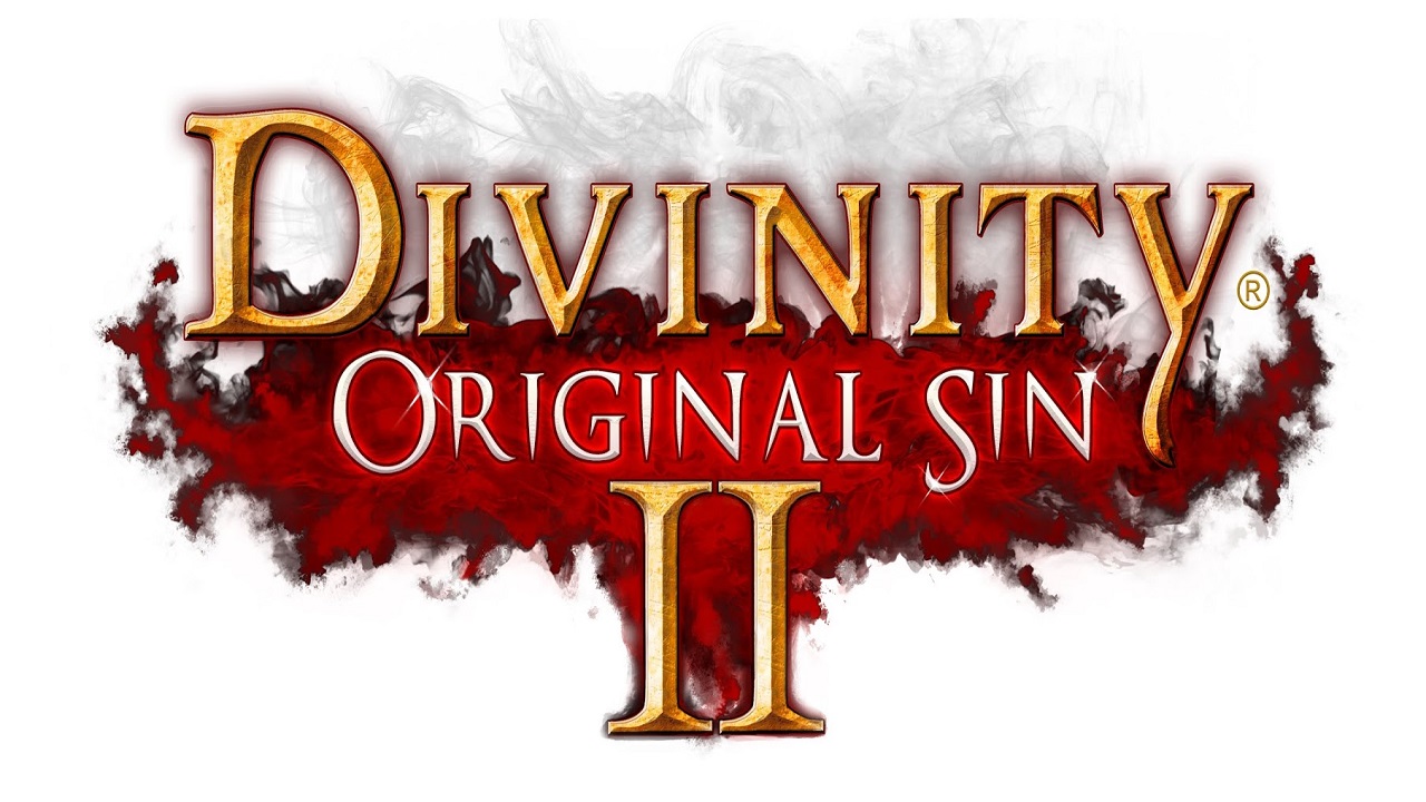 Divinity Original Sin PNG - 13107