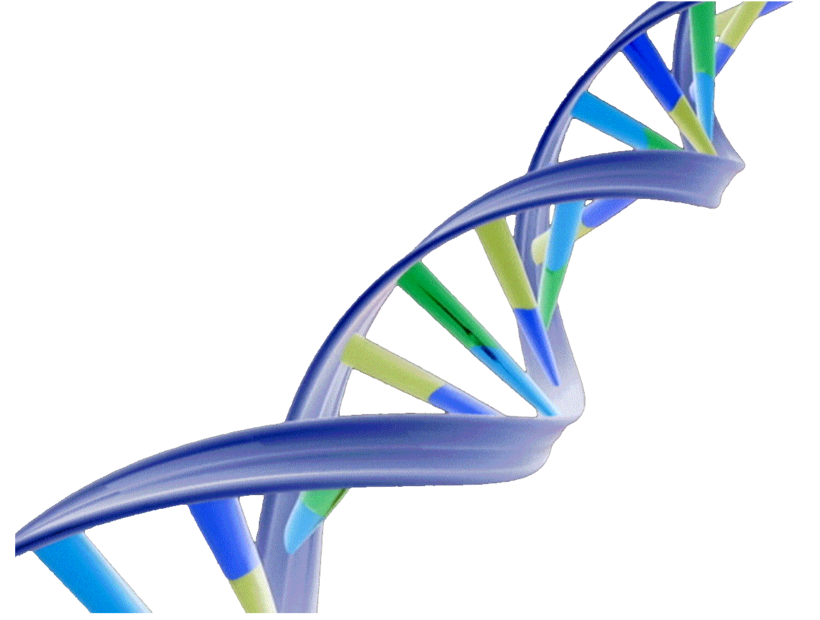 Dna PNG HD - 139601