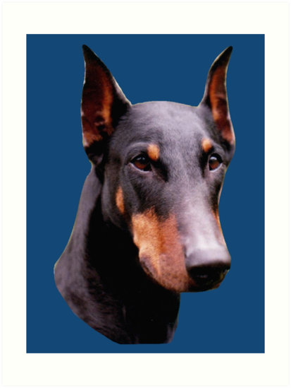 Vector head dog doberman face