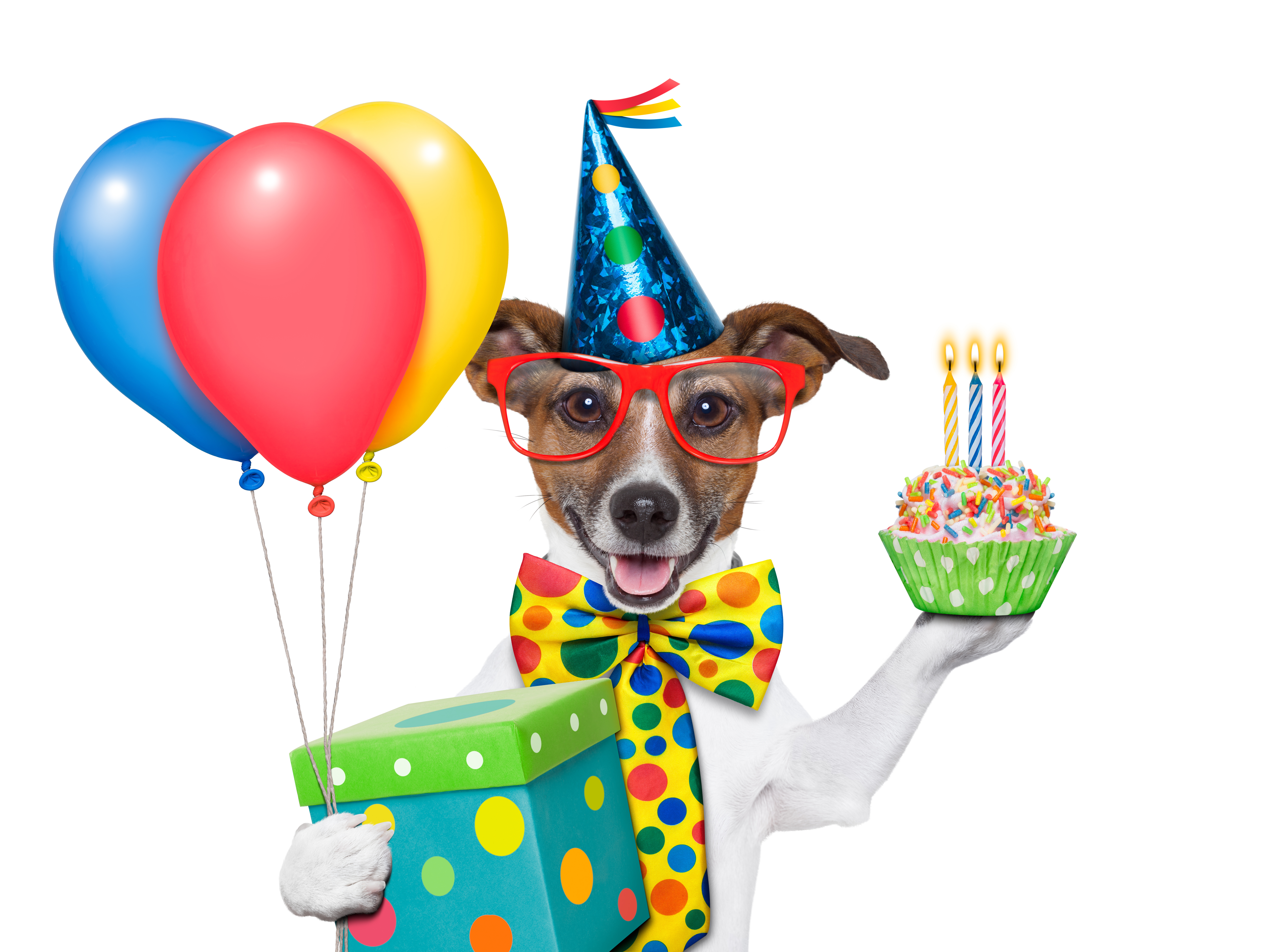 Dog Birthday PNG HD - 122125