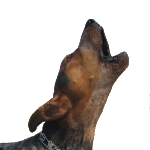 Dog Howling PNG - 47182