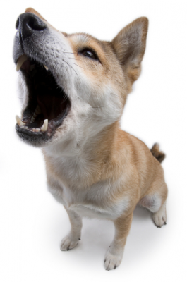 Dog Howling PNG - 47184