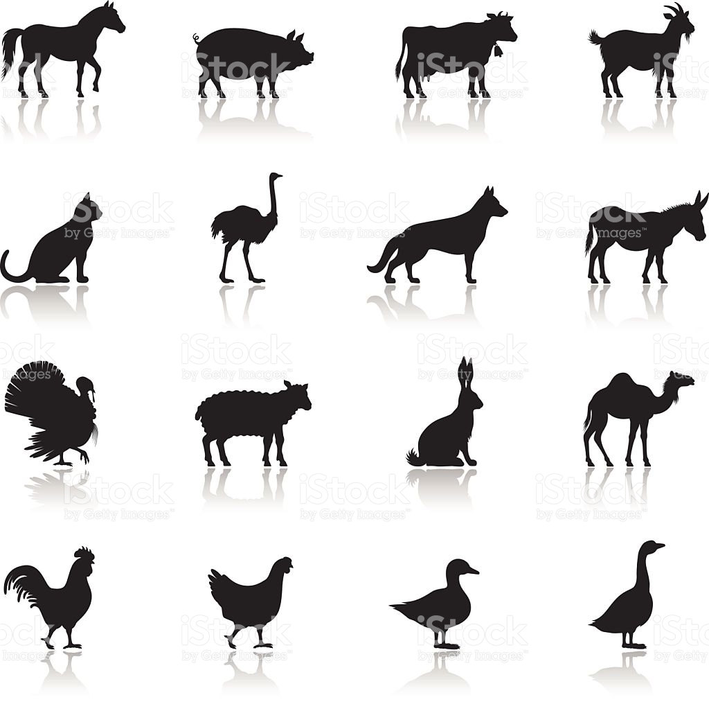 Domestic Animals PNG Black And White - 141666