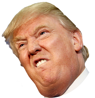 Donald Trump Face Png image #
